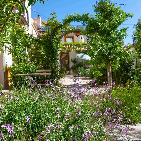 Bed & Breakfast Casa Don Eliseo *